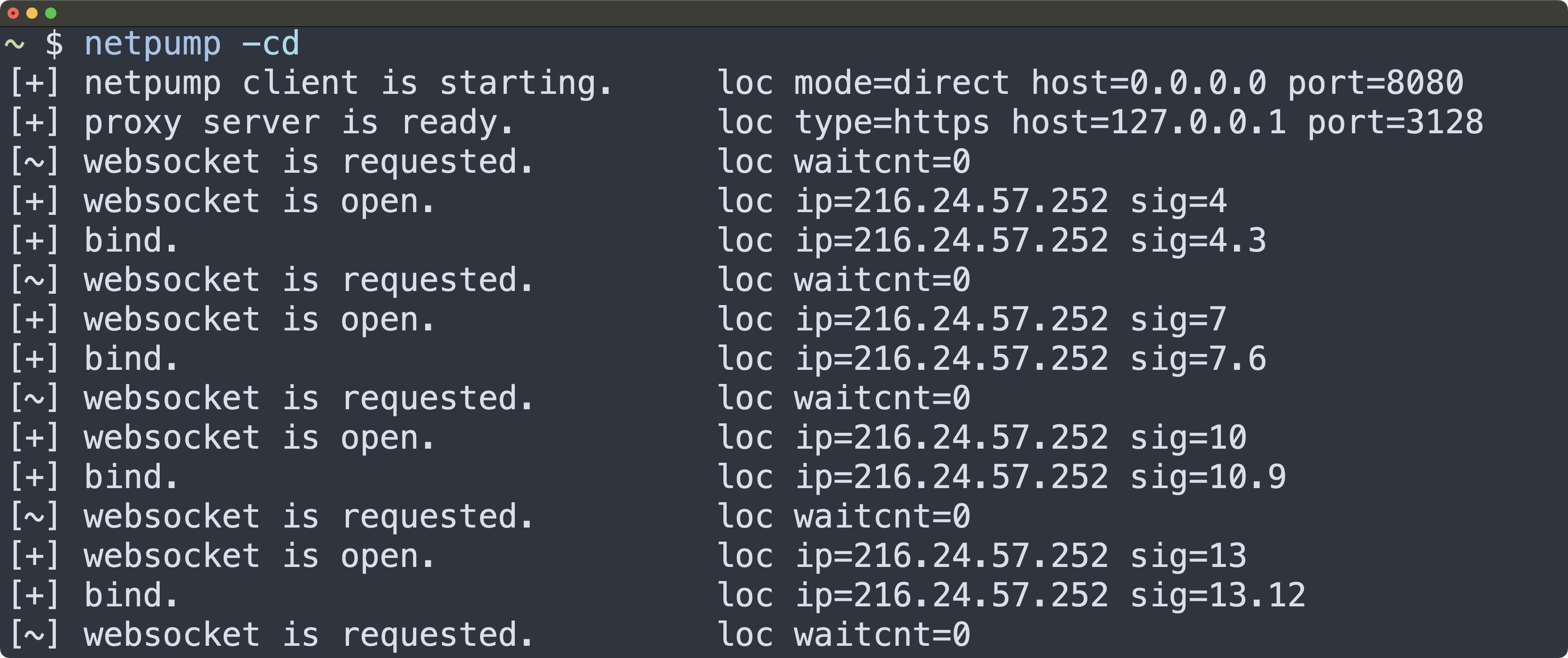Screenshot of netpump in direct client mode